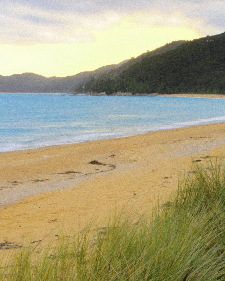 Dune grass above a quiet beach at dusk
