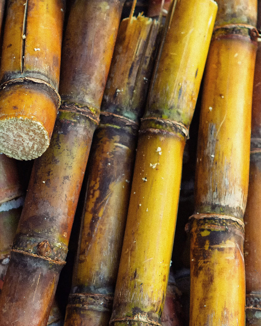 Fresh-cut sugarcane, stacked